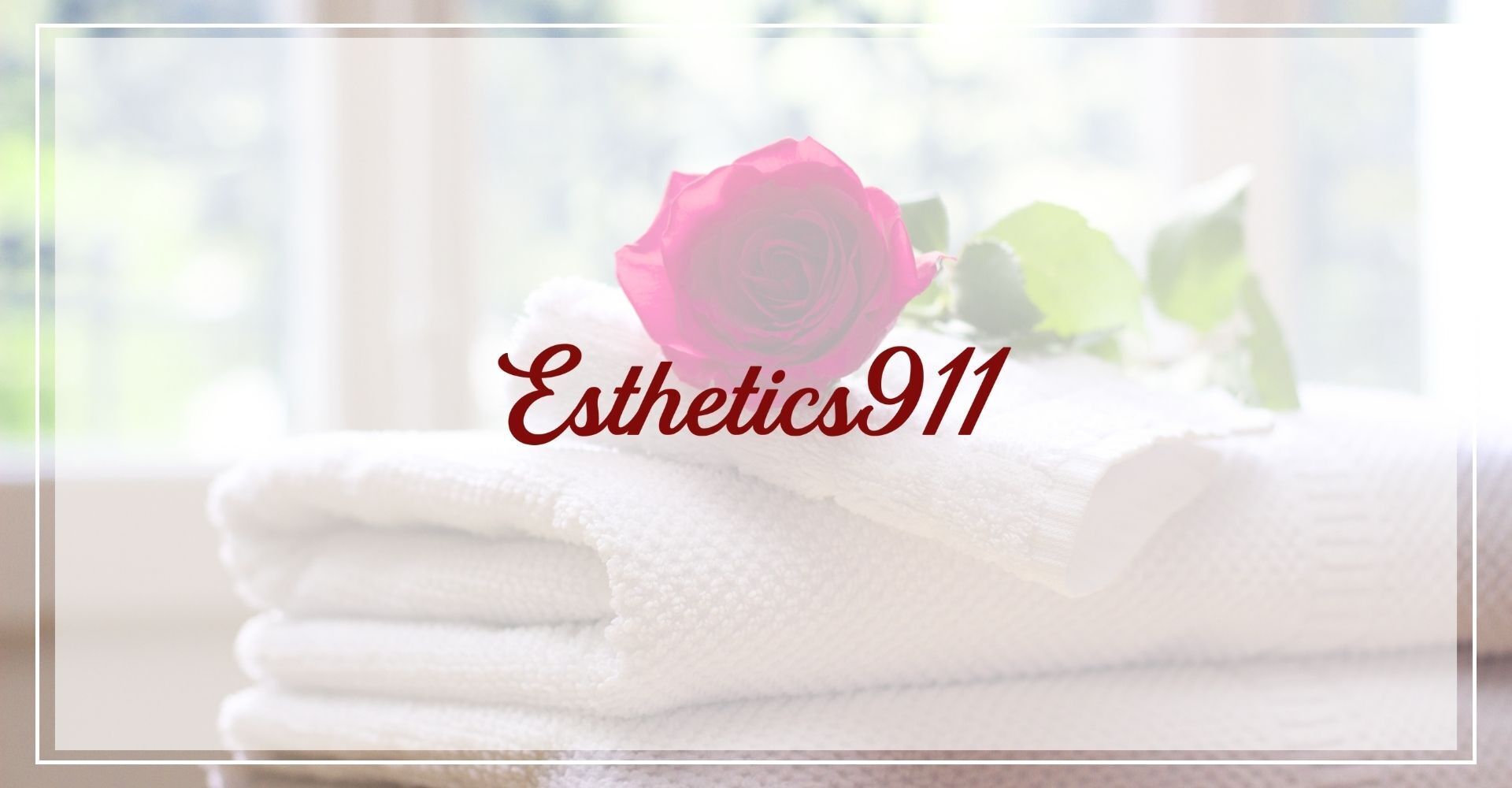 Esthetics911 FV画像1